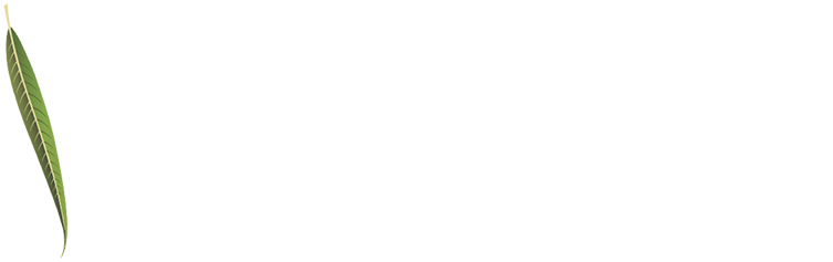 Willow Lake Apartments and Townhomes Logo