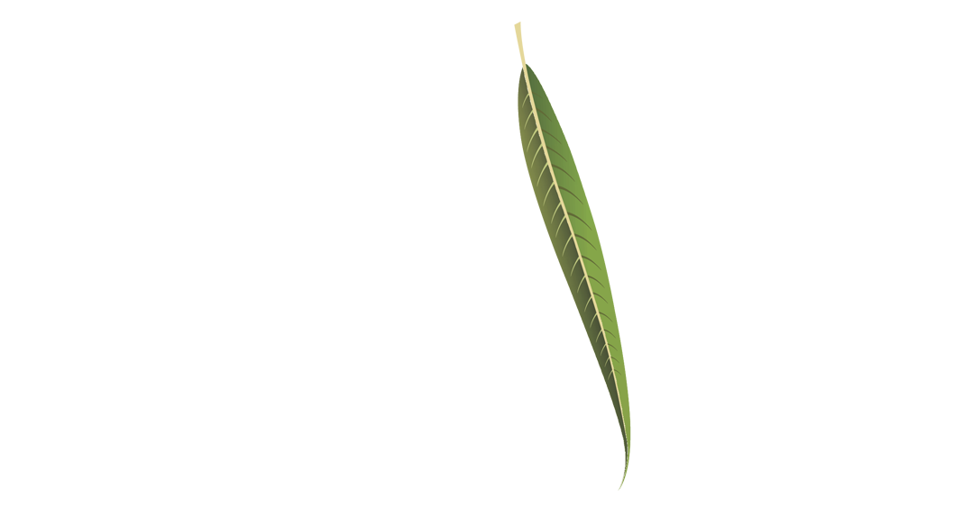 Willow Lake Apartments and Townhomes Logo