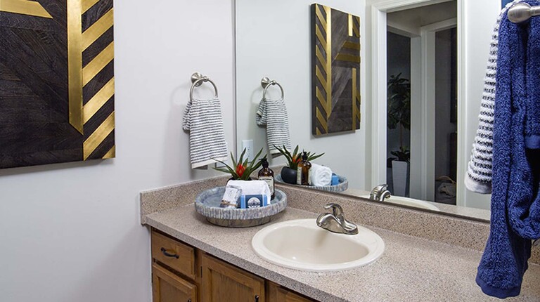 Bathroom sink with counter space